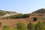   Afloramiento de Aragonitos. Casas de Ves. Albacete