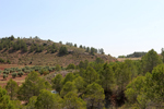  Afloramiento de Aragonitos. Casas de Ves. Albacete