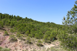 Afloramiento de Aragonitos. Casas de Ves. Albacete
