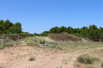  Afloramiento de Aragonitos. Casas de Ves. Albacete