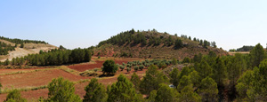Afloramiento de Aragonitos. Casas de Ves. Albacete