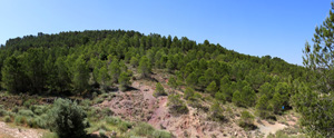 Afloramiento de Aragonitos. Casas de Ves. Albacete