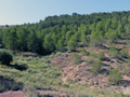 Afloramiento de Aragonitos. Casas de Ves. Albacete 