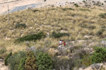 Cantera de áridos de Sodira. Cabeçonet, Busot, Alicante