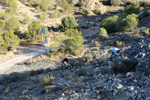 Cantera Alabastre. Cañada del Fenollar. Alicante