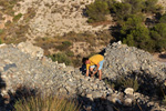 Cantera Alabastre. Cañada del Fenollar. Alicante