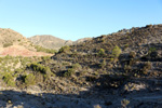 Cantera Alabastre. Cañada del Fenollar. Alicante