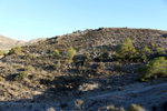 Cantera Alabastre. Cañada del Fenollar. Alicante