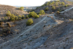 Cantera Alabastre. Cañada del Fenollar. Alicante