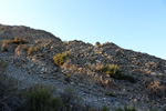  Cantera Alabastre. Cañada del Fenollar. Alicante