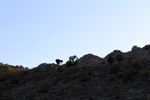    Cantera Alabastre. Cañada del Fenollar. Alicante