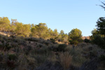   Cantera Alabastre. Cañada del Fenollar. Alicante