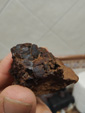  Setiles y ojos negros. Corta Carlota, Guadalahara y Teruel