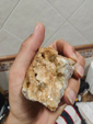  Setiles y ojos negros. Corta Carlota, Guadalahara y Teruel