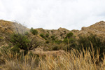 Alicantina Minera del Ocre. Mutxamel. , Alicante