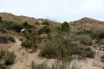  Alicantina Minera del Ocre. Mutxamel. , Alicante