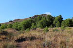 Mina Catón, (Grupo Minero Los Pajaritos), Barranco Los Pajaritos-Cabezo de Don Juan, Llano del Beal, Cartagena, Murcia
