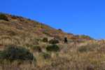 Mina Catón, (Grupo Minero Los Pajaritos), Barranco Los Pajaritos-Cabezo de Don Juan, Llano del Beal, Cartagena, Murcia