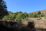 Mina Catón, (Grupo Minero Los Pajaritos), Barranco Los Pajaritos-Cabezo de Don Juan, Llano del Beal, Cartagena, Murcia