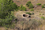 Mina Catón, (Grupo Minero Los Pajaritos), Barranco Los Pajaritos-Cabezo de Don Juan, Llano del Beal, Cartagena, Murcia