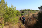 Mina Catón, (Grupo Minero Los Pajaritos), Barranco Los Pajaritos-Cabezo de Don Juan, Llano del Beal, Cartagena, Murcia