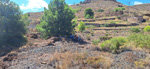 Mina Catón, (Grupo Minero Los Pajaritos), Barranco Los Pajaritos-Cabezo de Don Juan, Llano del Beal, Cartagena, Murcia