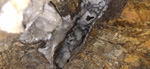 Mina Catón, (Grupo Minero Los Pajaritos), Barranco Los Pajaritos-Cabezo de Don Juan, Llano del Beal, Cartagena, Murcia