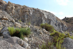 Cantera Alabastre. Cañada del Fenollar. Alicante