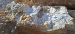 Celestina. Cabezo Polovar. Villena. Alicante
