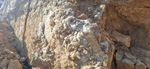 Cabezo Polovar. Villena. Alicante