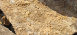 Cabezo Polovar. Villena. Alicante 