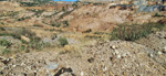   Ojos Negros y Setiles. Teruel y Guadalajara