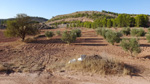 Afloramiento de Aragonitos. Casas de Ves. Albacete