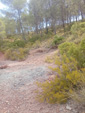 Afloramiento del Keuper, Los Molinillos, Minglanilla, Comarca Manchuela Conquense, Cuenca