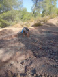 Afloramiento del Keuper, Los Molinillos, Minglanilla, Comarca Manchuela Conquense, Cuenca