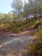 Afloramiento del Keuper, Los Molinillos, Minglanilla, Comarca Manchuela Conquense, Cuenca