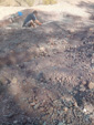 Afloramiento del Keuper, Los Molinillos, Minglanilla, Comarca Manchuela Conquense, Cuenca