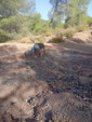  Afloramiento del Keuper, Los Molinillos, Minglanilla, Comarca Manchuela Conquense, Cuenca 
