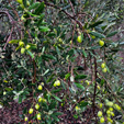 Afloramiento del Keuper, Chella. Valenicia