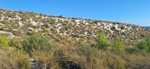 Alrededores embalse Camarillas. Agramon. Albacete