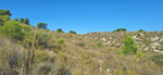 Alrededores embalse Camarillas. Agramon. Albacete