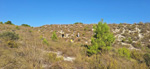 Alrededores embalse Camarillas. Agramon. Albacete