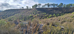  Alrededores embalse Camarillas. Agramon. Albacete 