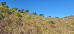  Alrededores embalse Camarillas. Agramon. Albacete 