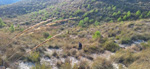  Alrededores embalse Camarillas. Agramon. Albacete 