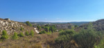 Alrededores embalse Camarillas. Agramon. Albacete