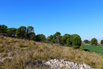  Alrededores embalse Camarillas. Agramon. Albacete