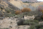 Canteras de arcilla. Camino de la Murta. Agpst. Alicante