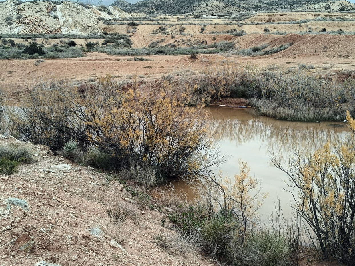Clot de la sal y Barranco de les Salinetes, Novelda. Alicante  
