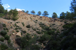 Barranco del Piscalejo. Caravaca de la Cruz. Murcia